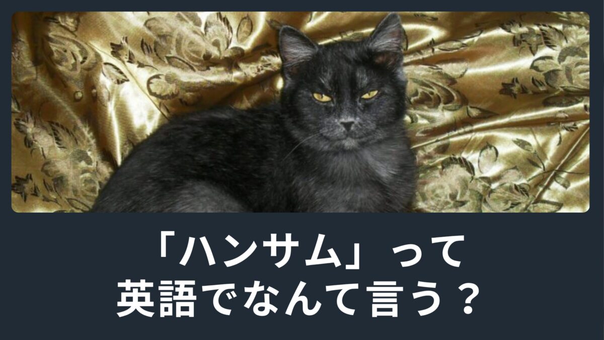 「ハンサム」は何語？意外な語源とイケメンとの違いを徹底解剖