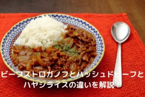 【速報】 ビーフ ストロガノフ ハヤシライス 違い 2026年最新プロフィール #835