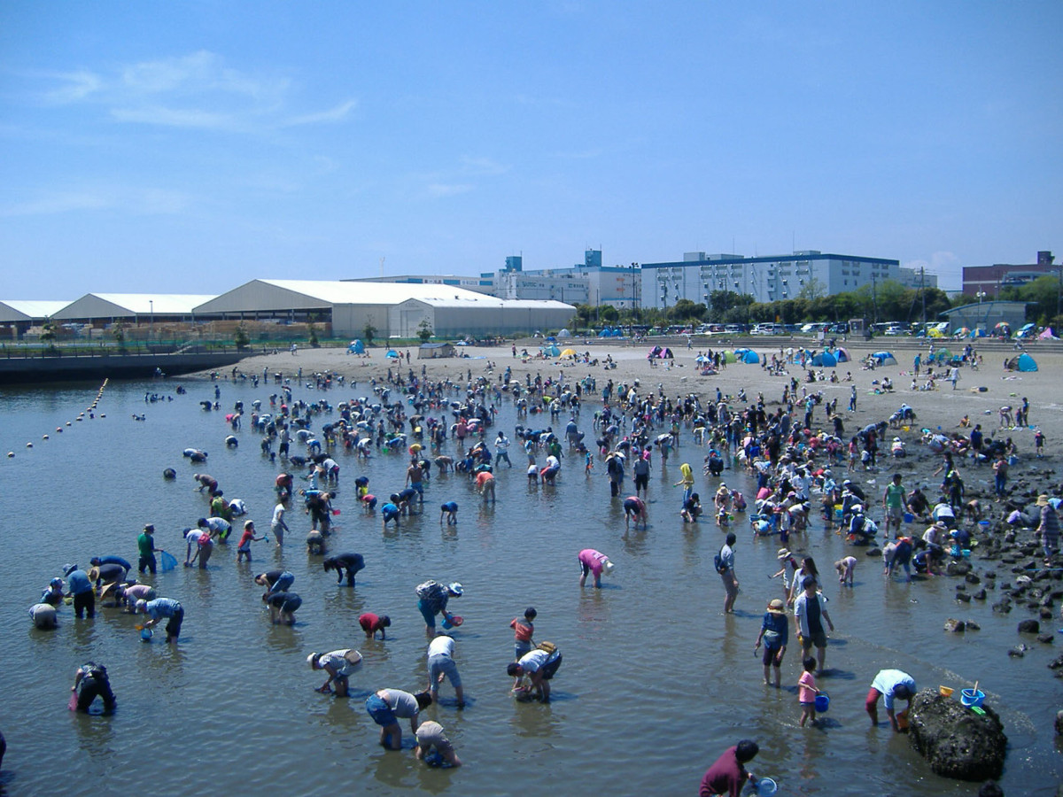 東扇島東公園が釣り禁止って本当？Bbqやドッグラン最新ルールを徹底解説！