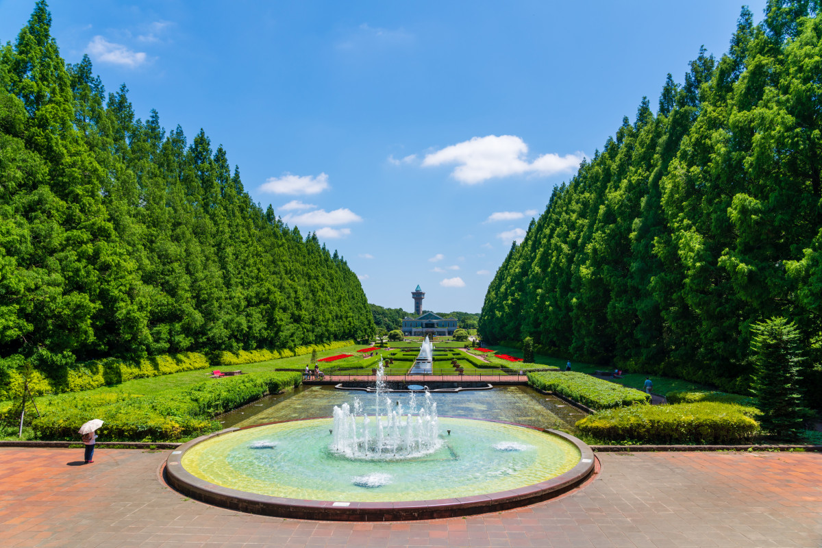 県立相模原公園完全攻略！温室や噴水広場・駐車場料金と麻溝公園の違い