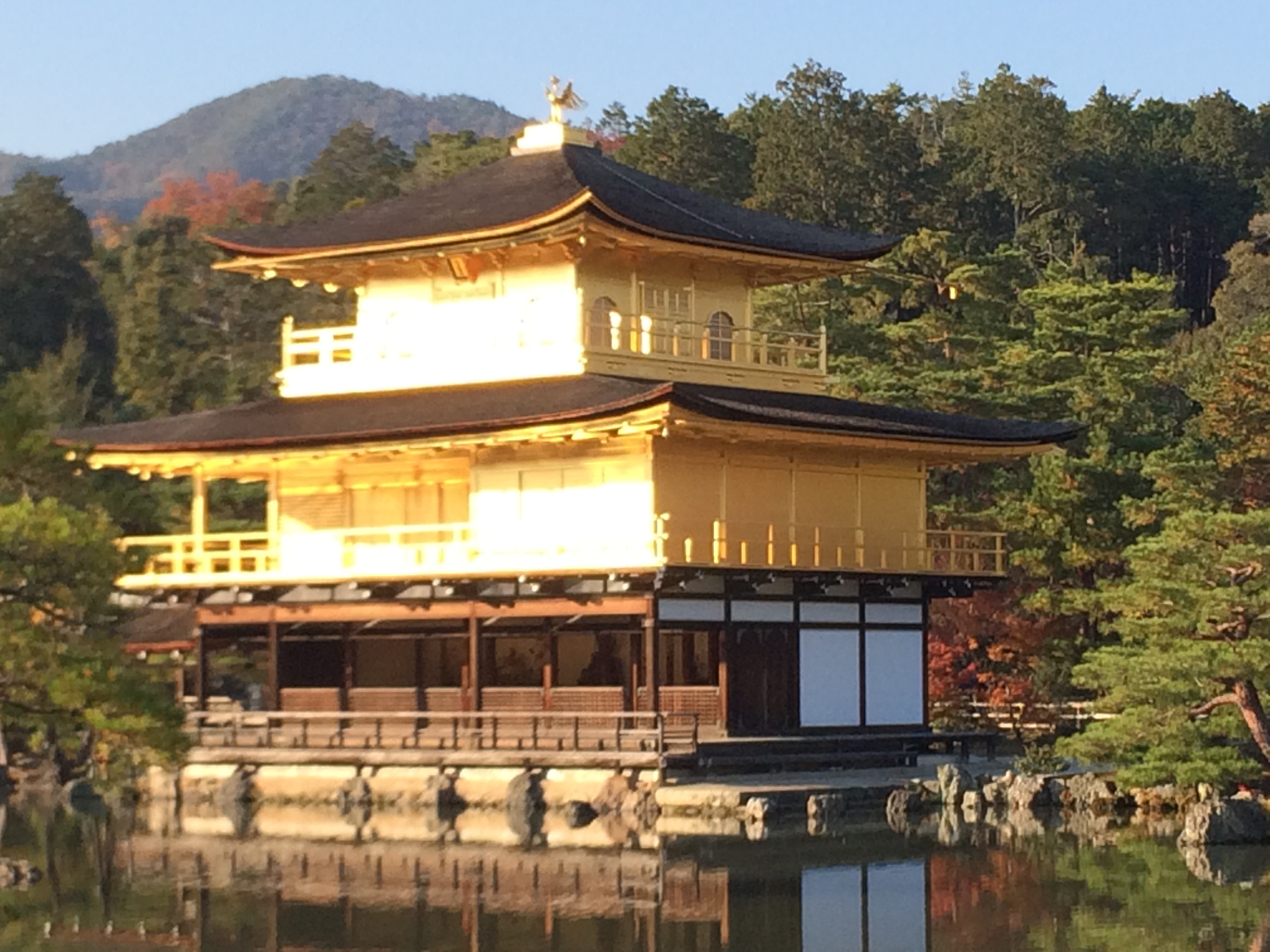 金閣寺の別名と正式名称の深層｜鹿苑寺の由来や足利義満の真意を解明