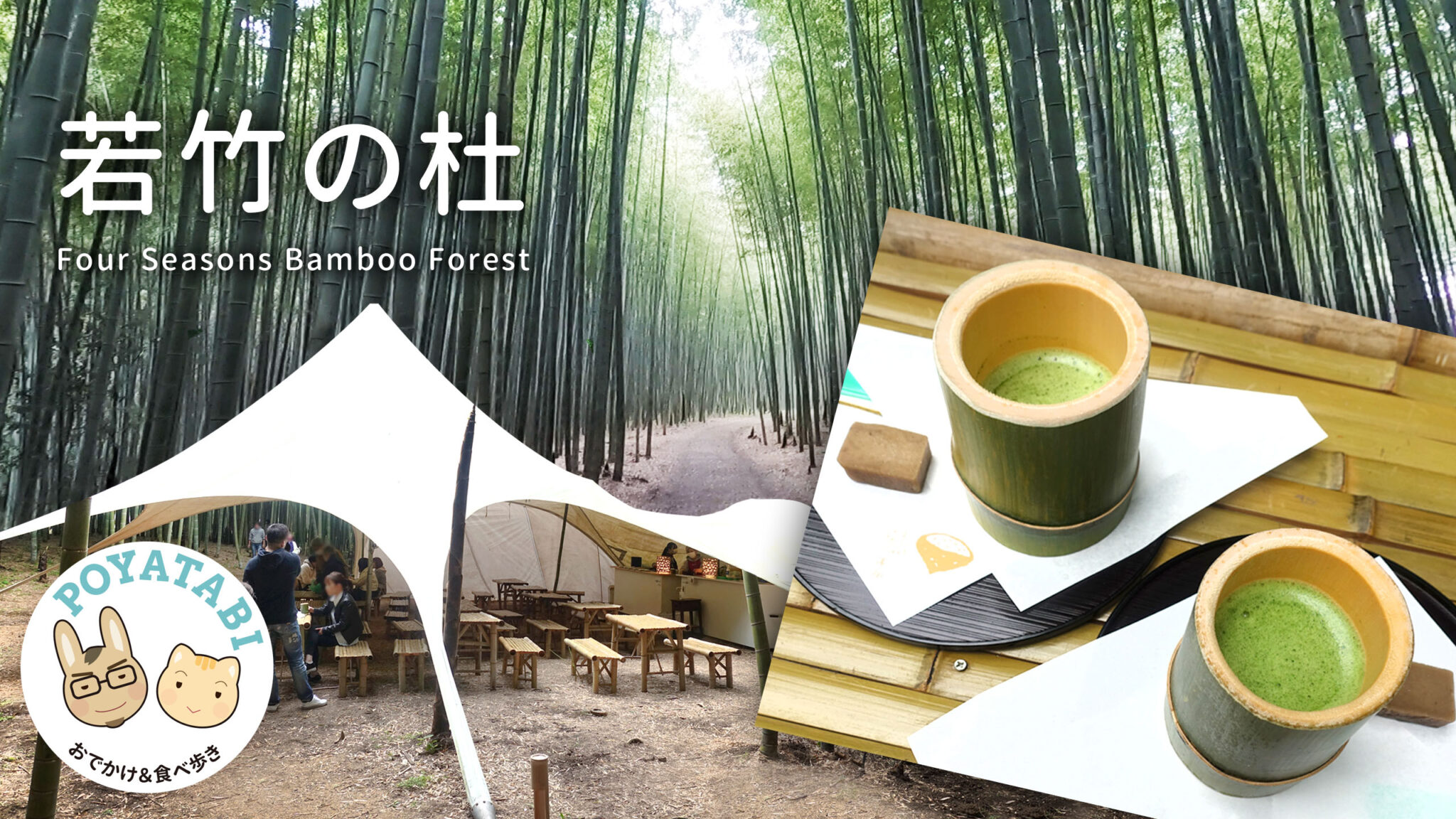 若竹の杜若山農場の魅力と見所・料金・映画ロケ地を徹底解剖