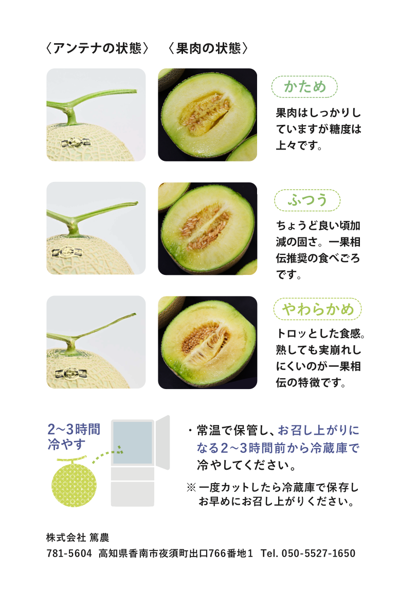 メロンの食べ頃を見極めるプロの技術｜追熟サインと冷蔵庫の罠を徹底解剖