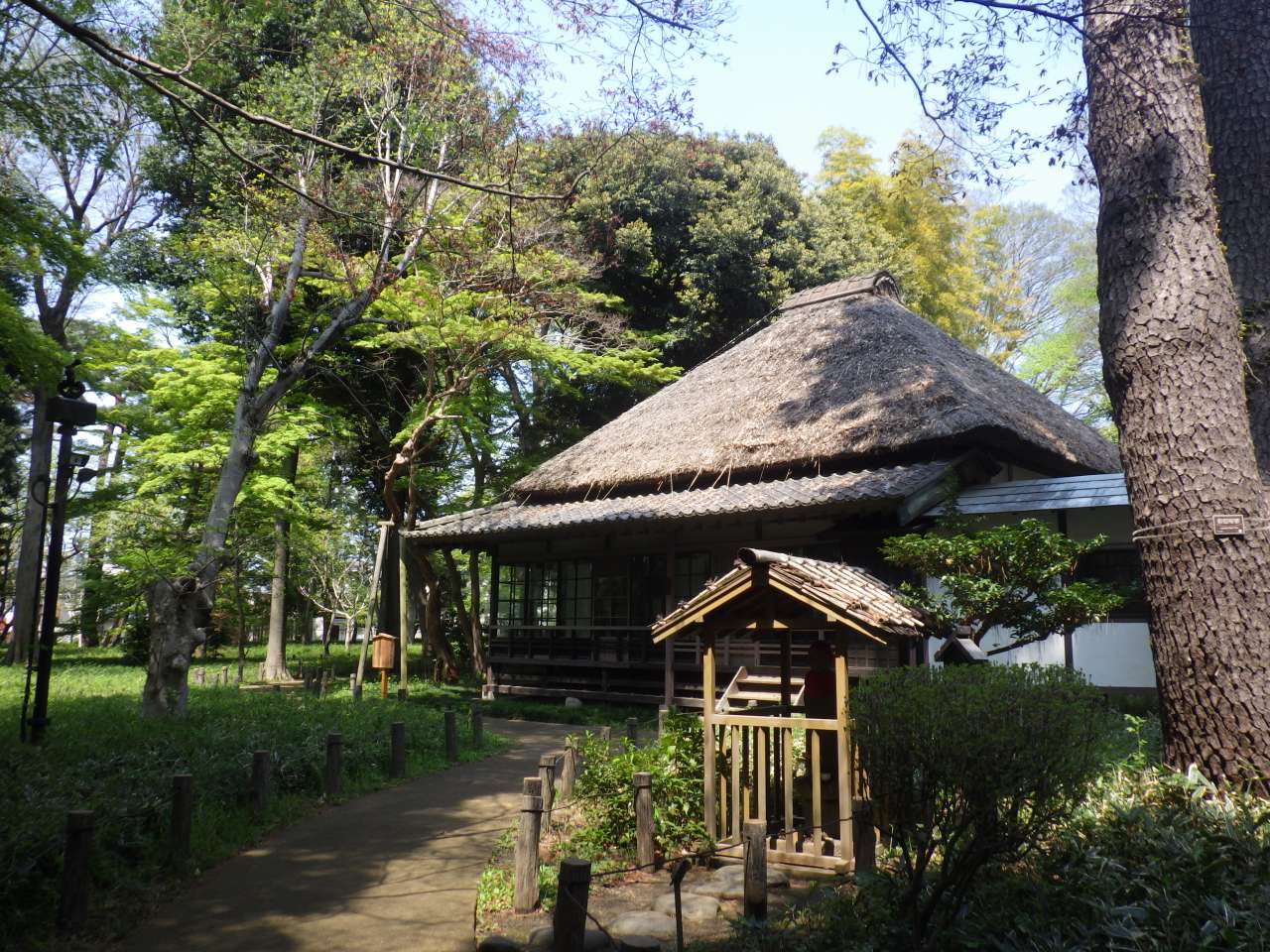 世田谷の隠れ家・蘆花恒春園の魅力解剖！文豪旧宅の歴史と四季の絶景巡り