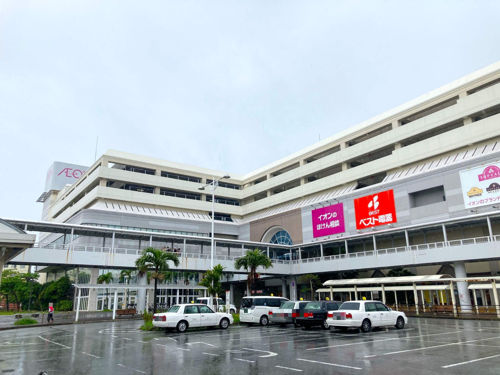八日市場カインズ完全攻略｜営業時間・チラシと混雑回避術