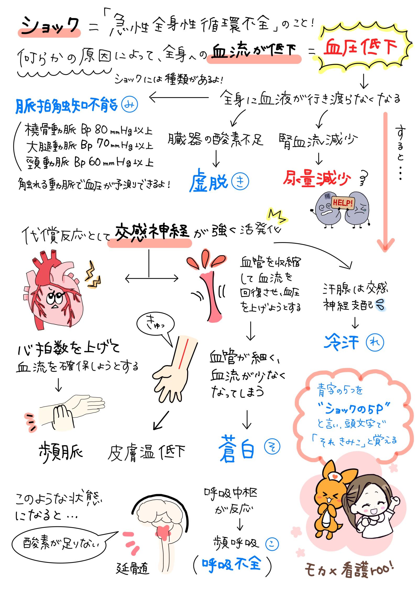 ショックの5P完全攻略｜覚え方と血圧低下を待たない現場の判断術