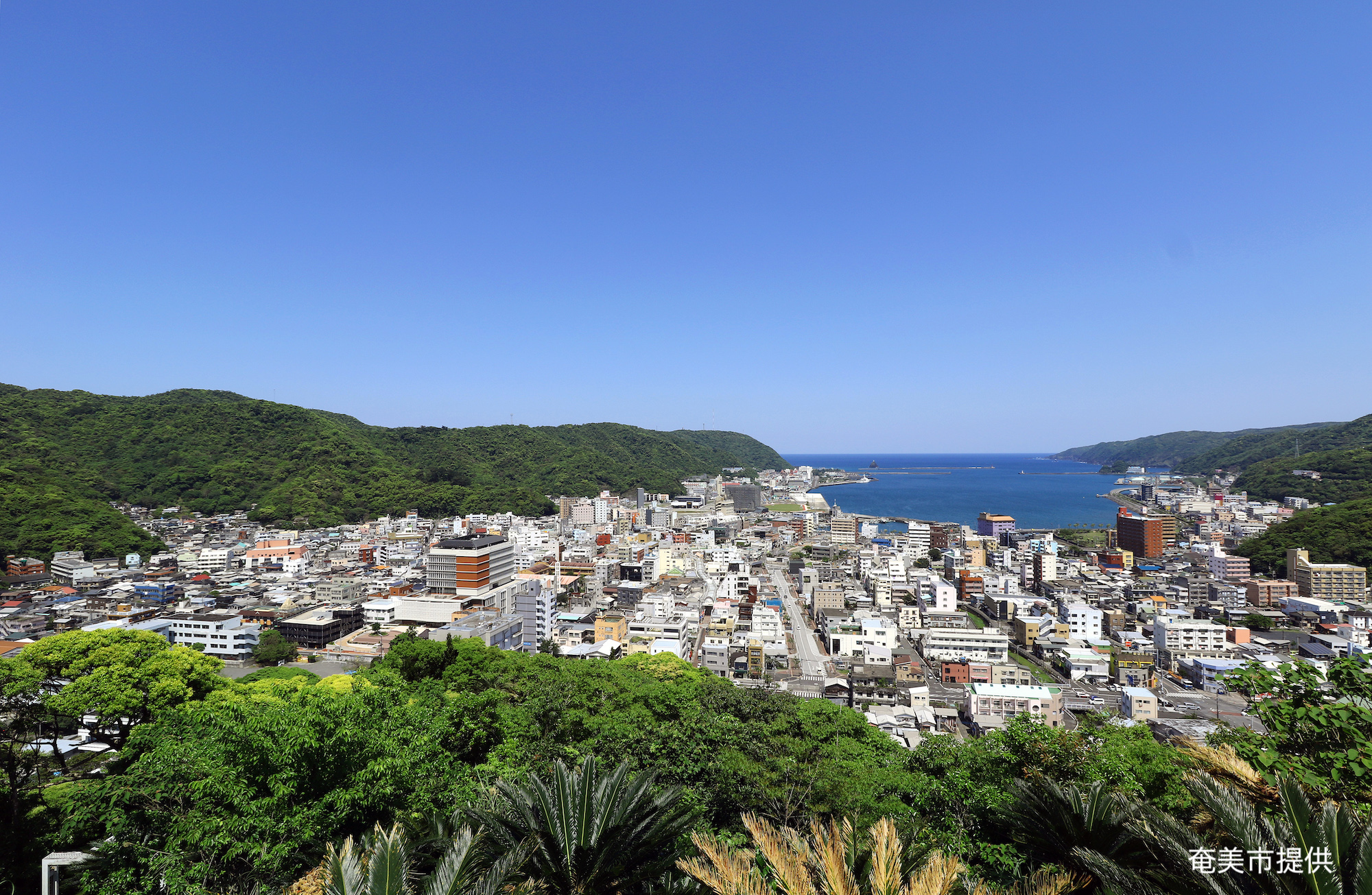 奄美市移住と観光のリアル2026！世界遺産と生活費の真実を解説