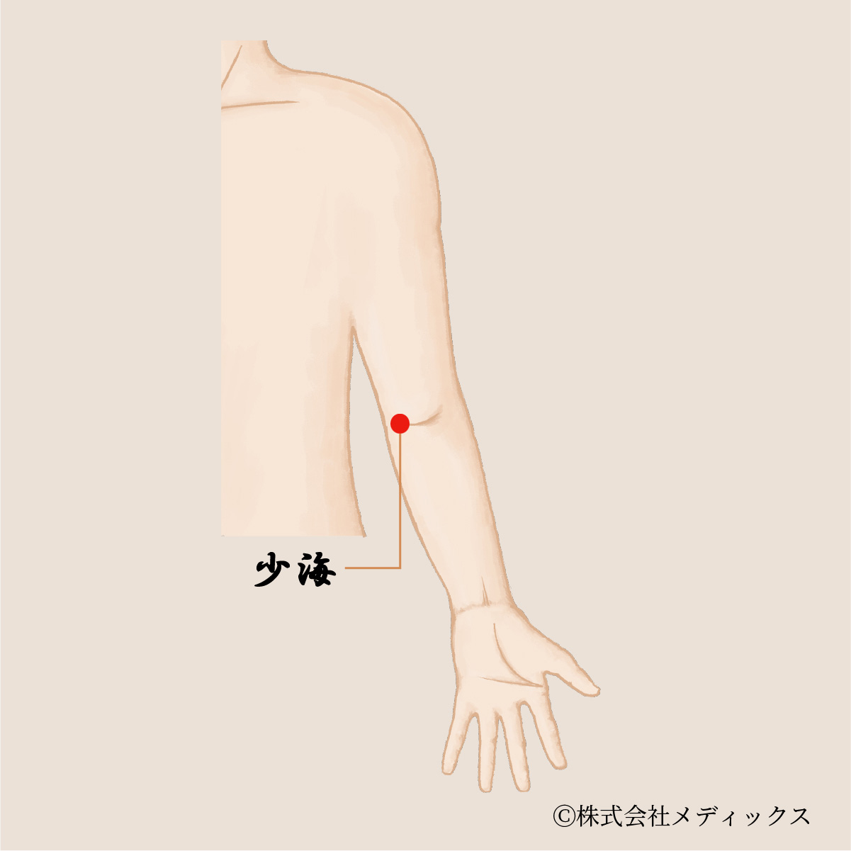 肘の痛みを即効リセット！ツボ押しと外側・内側原因別の最新ケア