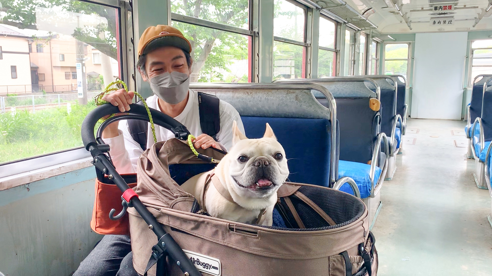 愛犬と電車に乗る完全ガイド！各社規定と乗車拒否を防ぐマナー