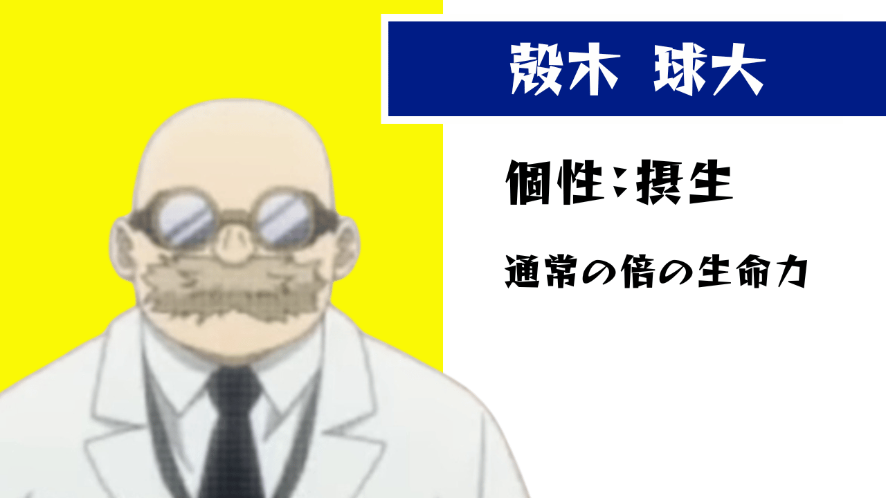 氏子達磨の正体と改名騒動の全真相【2026年最新】