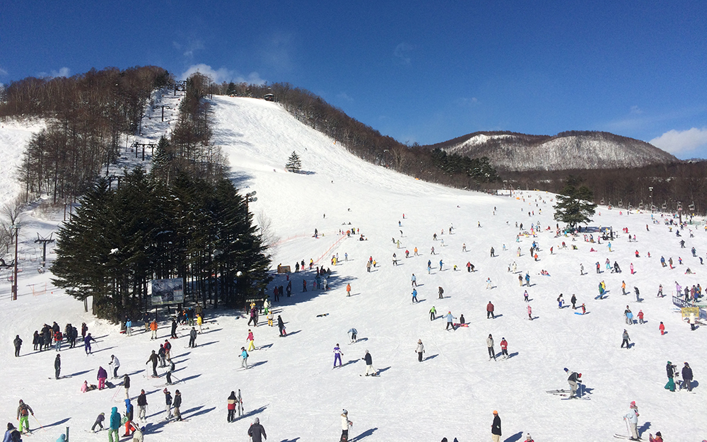 草津温泉スキー場2026完全ガイド！雪質・混雑と割引の真実を徹底検証