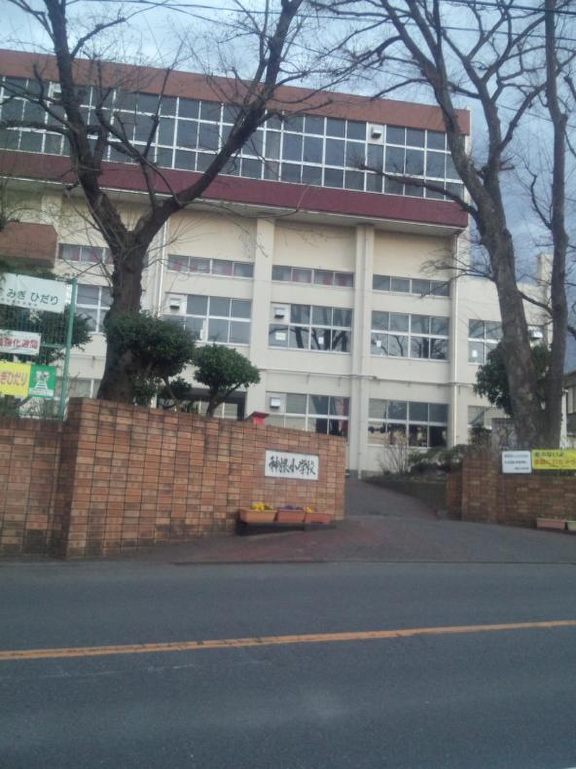川口市立神根東小学校の評判と学区｜児童数や進路の実態を徹底解説