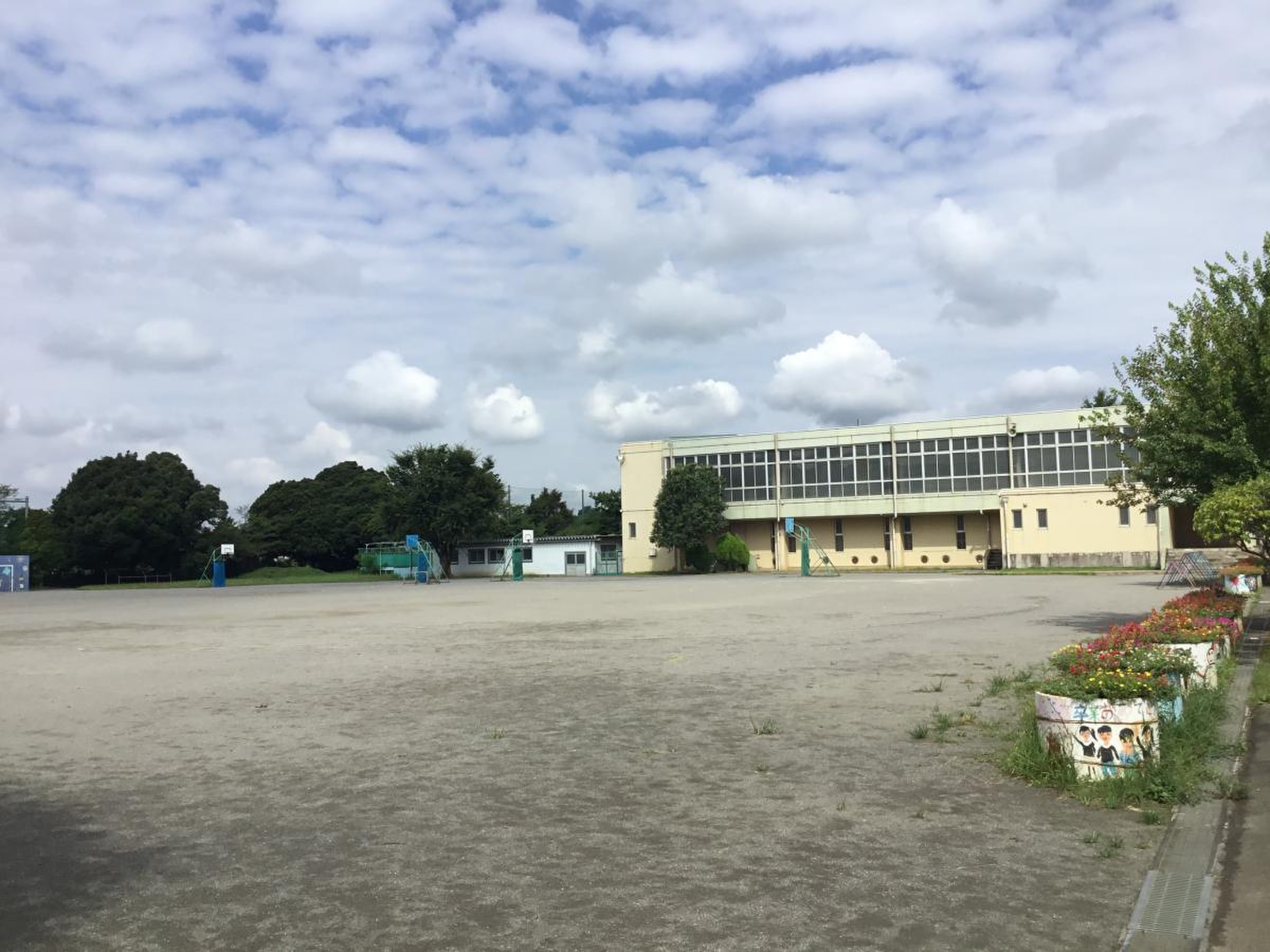 富士見市立水谷東小学校の評判と口コミ｜学区と教育環境の最新実態を解説