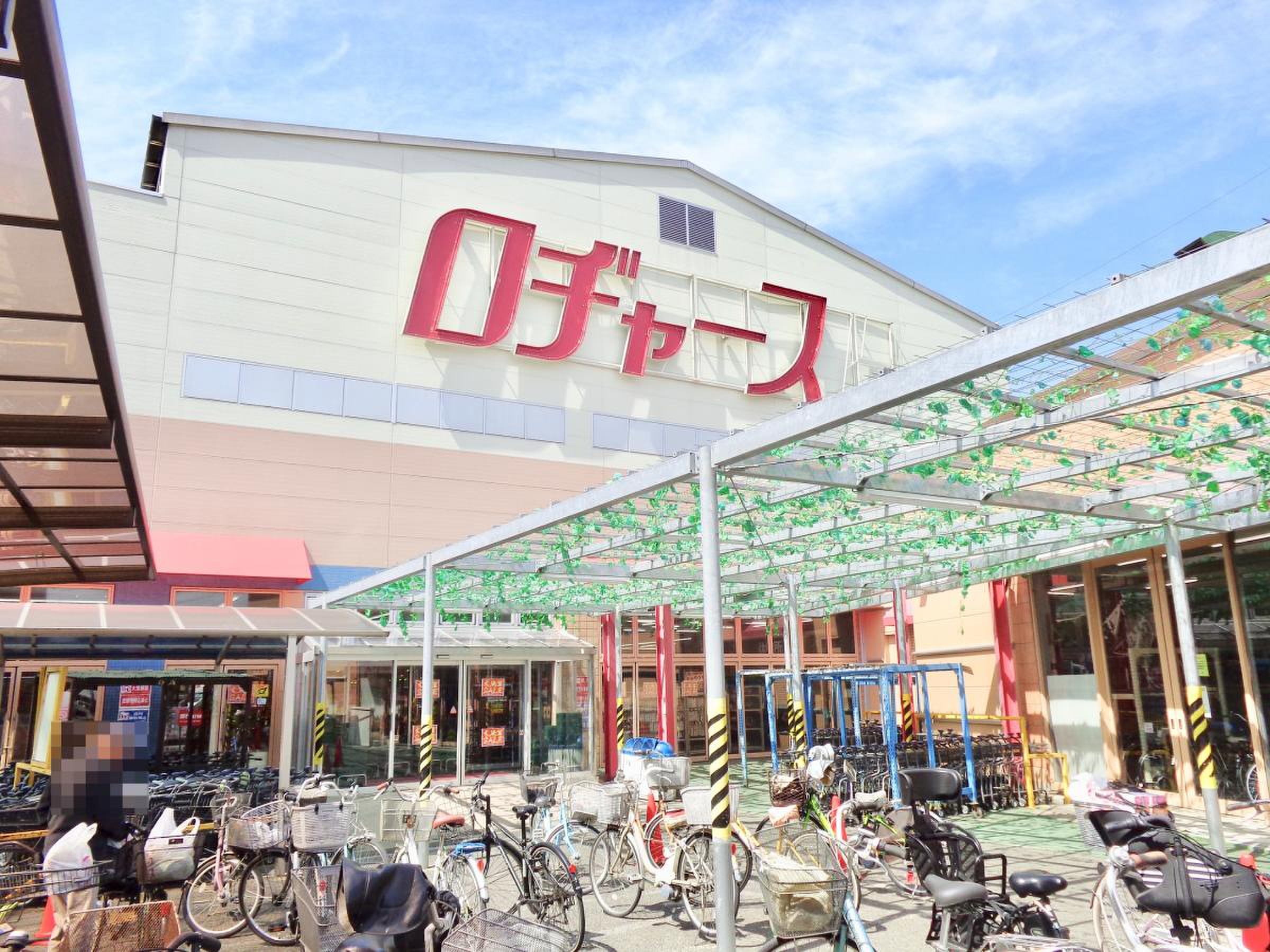 ロヂャース大宮店の全貌解剖！激安の理由と混雑回避＆お得攻略法