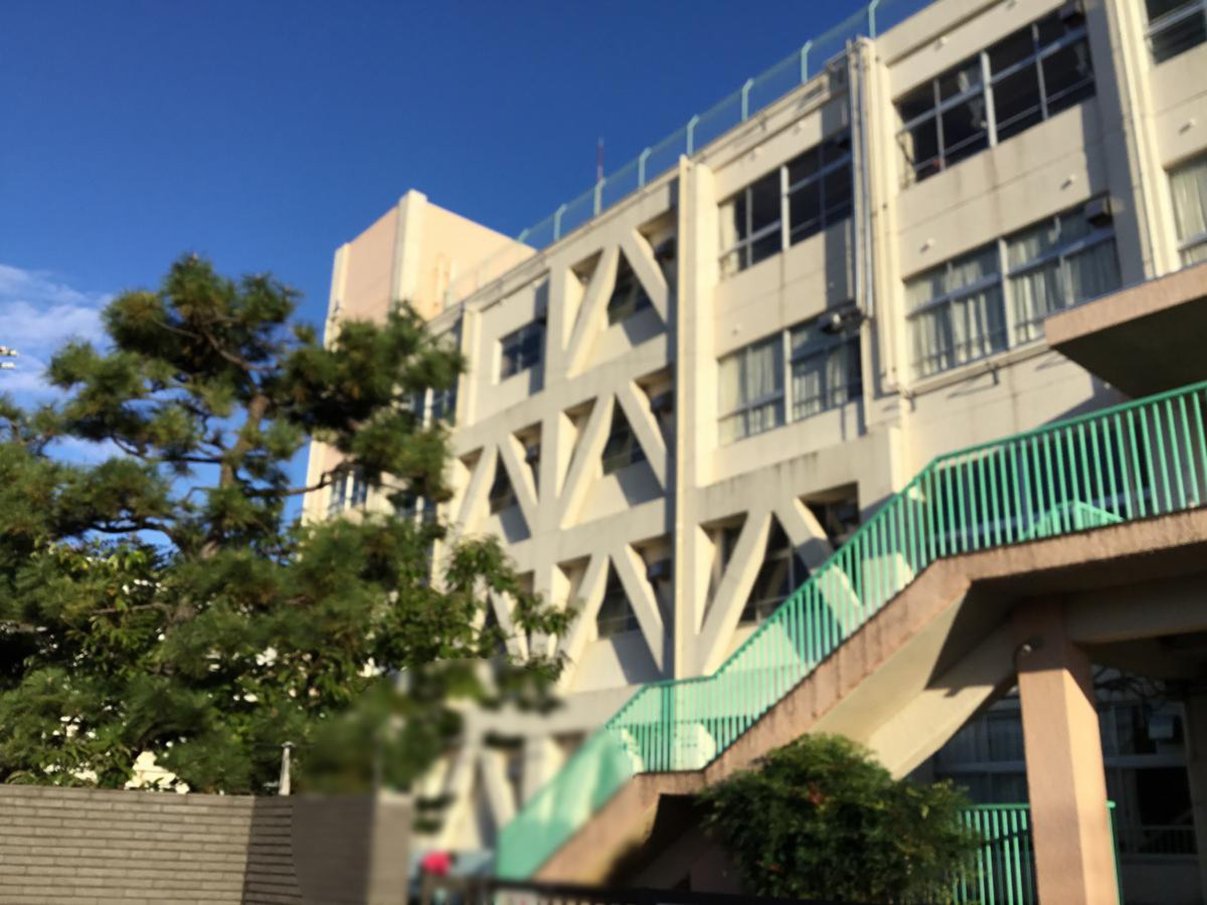 市川市立大野小学校の評判は？学区や教育環境のリアルな実態を徹底調査【2026】