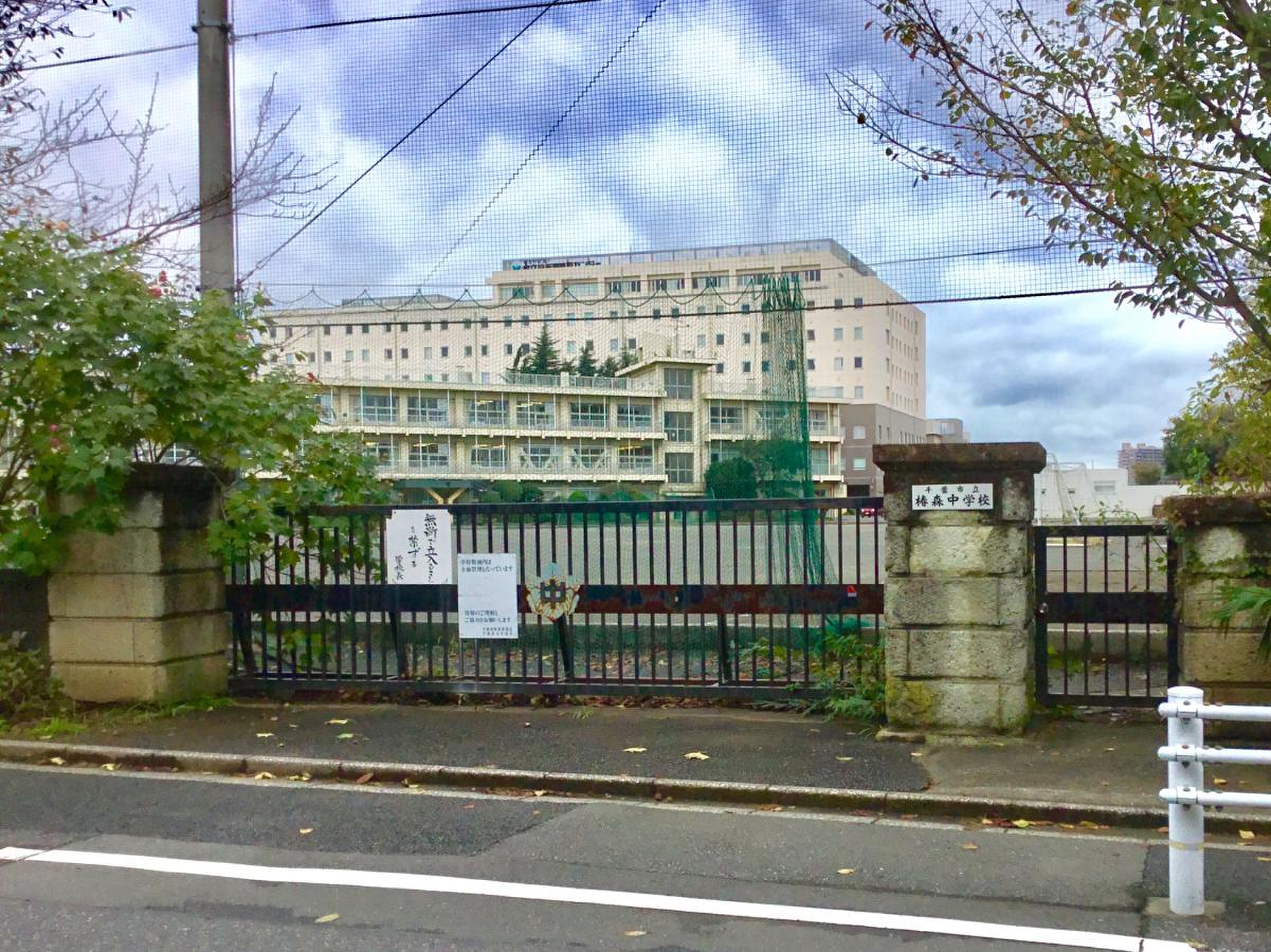 千葉市立椿森中の評判と噂を追う！学区・進学実績の真相【2026】
