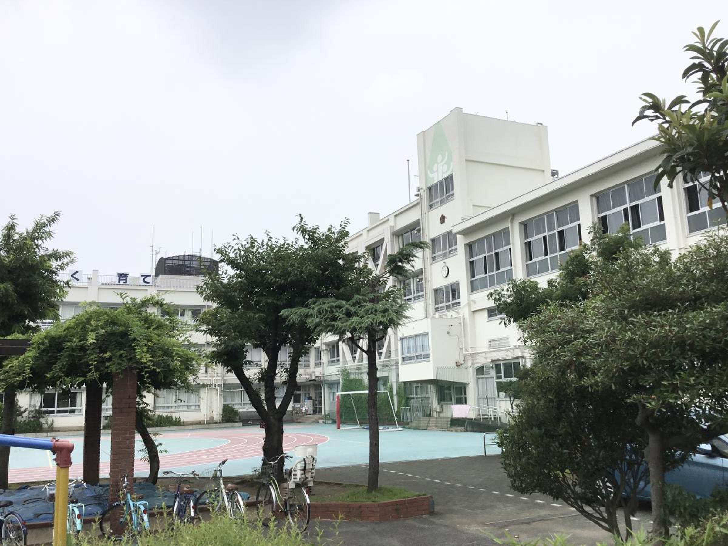 【入学前に必読】江戸川区立大杉小学校の評判は？学区と進学先の真実