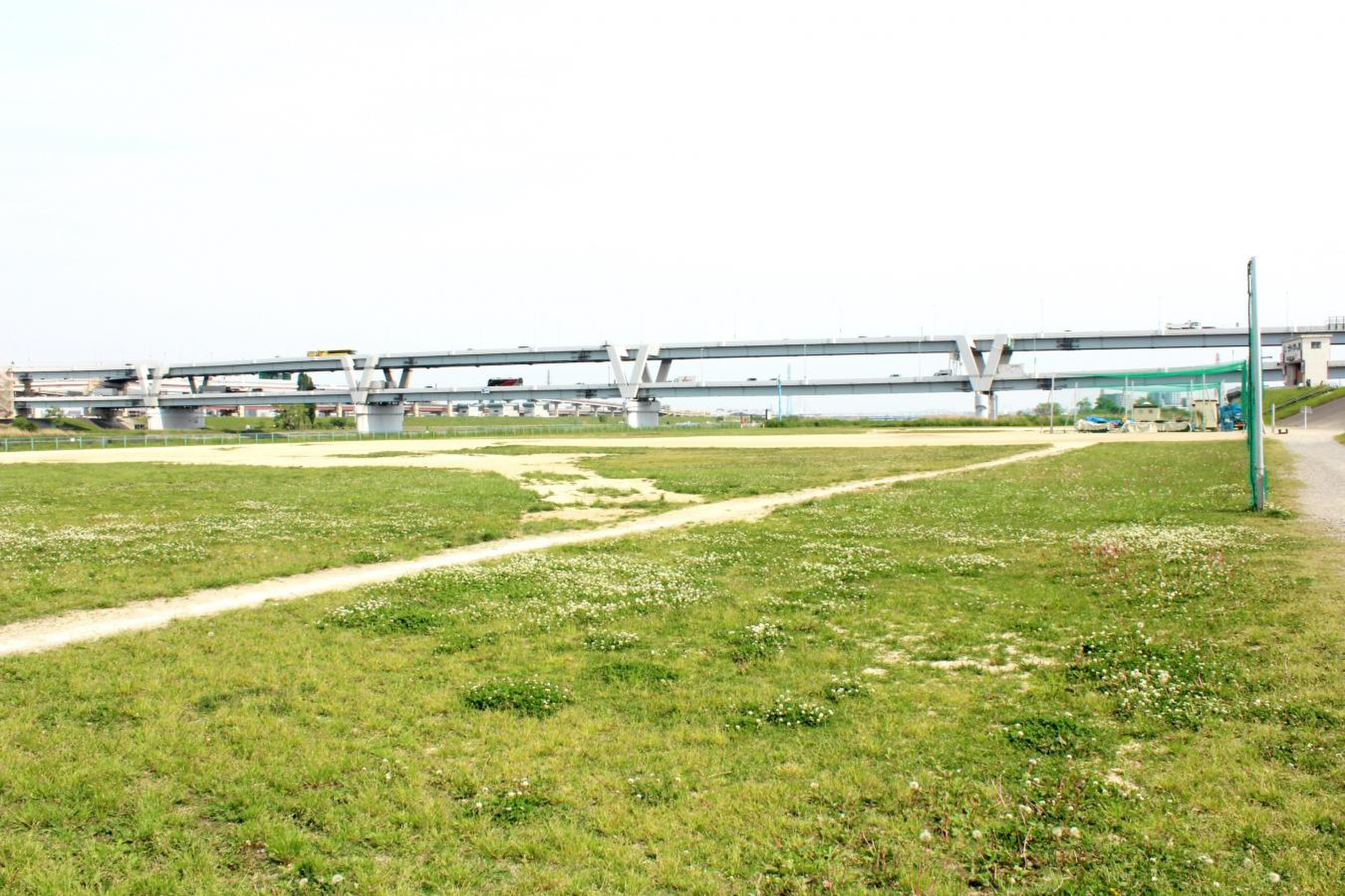 荒川日の出町緑地は本当に穴場？駐車場と予約の盲点3選を徹底解説