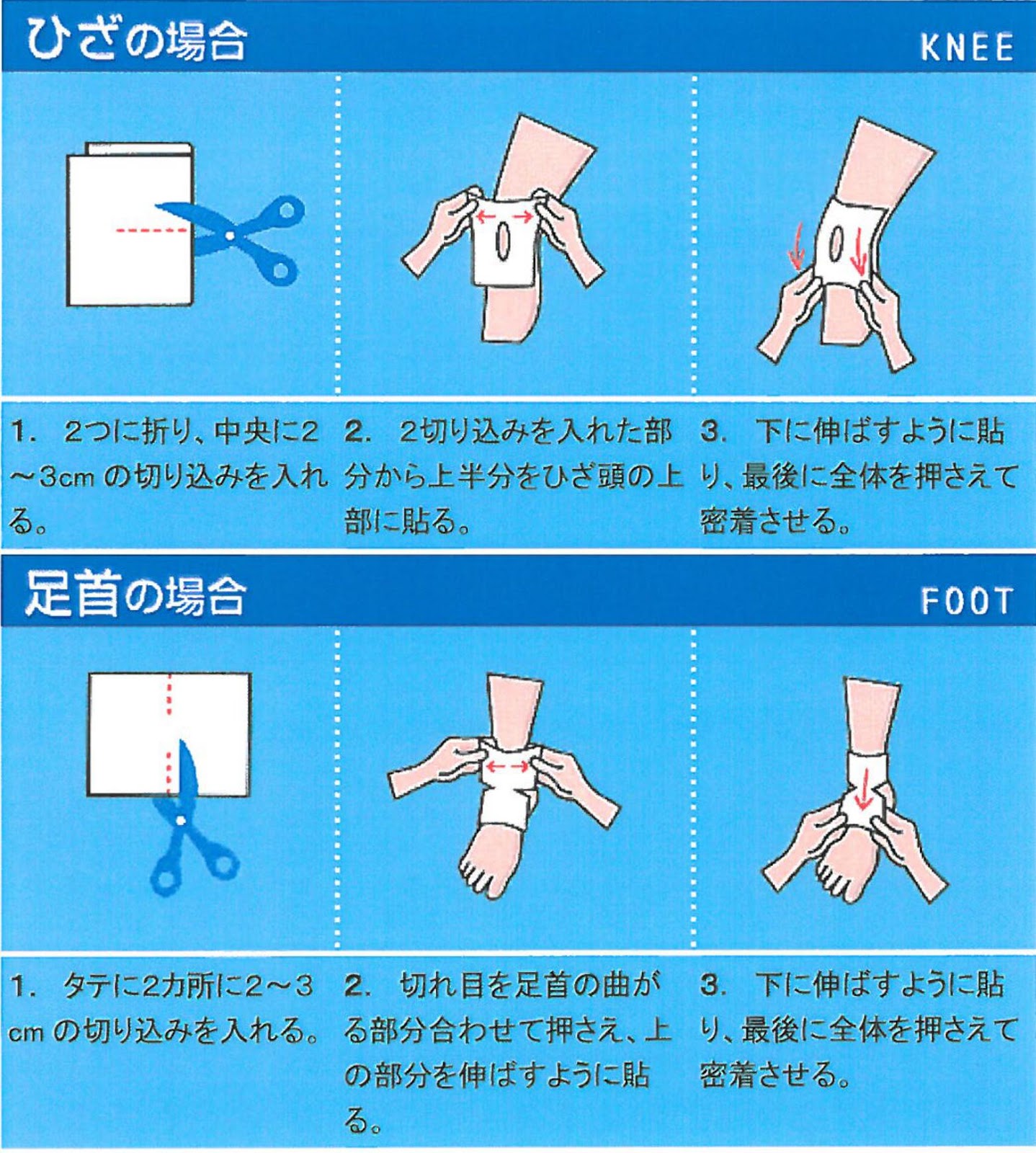 暴れん坊将軍と徳川吉宗の史実を徹底比較！貧乏旗本に隠された真実