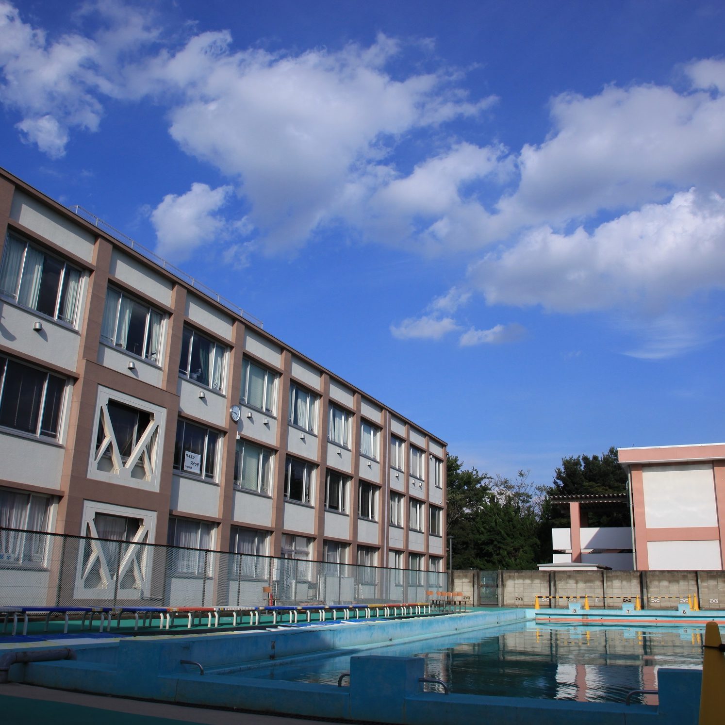 学芸大附属国際の評判と入試倍率｜進学実績とIb教育の実態【2026年最新】