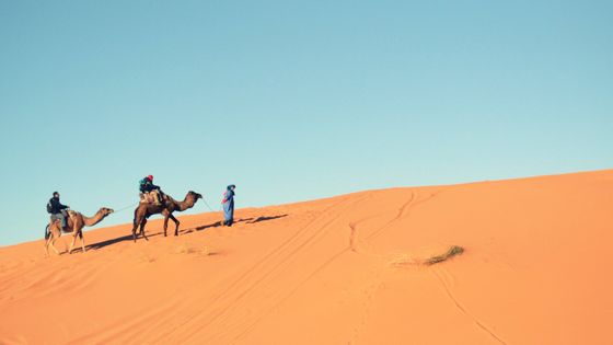 【まとめ】 世界 最大 の 砂漠 最新写真集＆動画まとめ #770