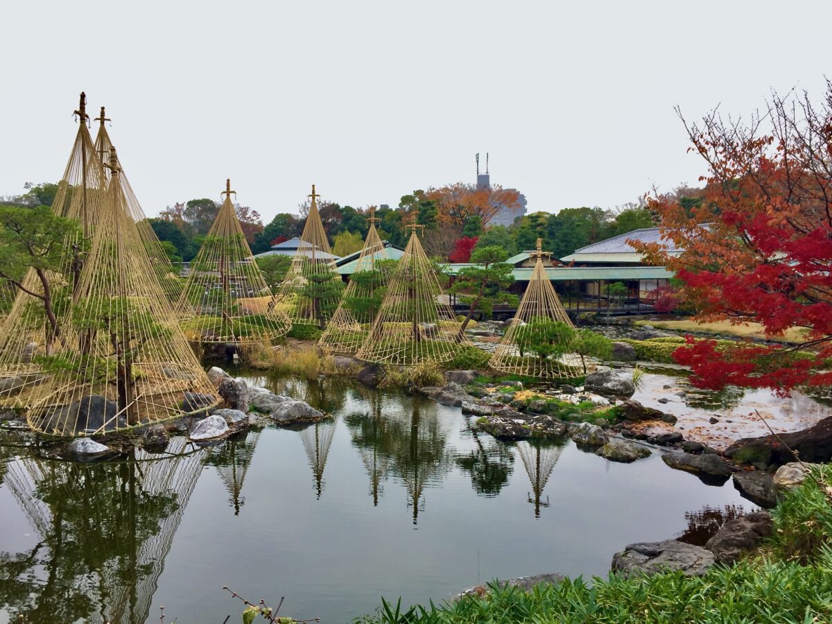 【2026年最新】名古屋・白鳥庭園の絶景と歩き方！紅葉＆茶室を徹底解説