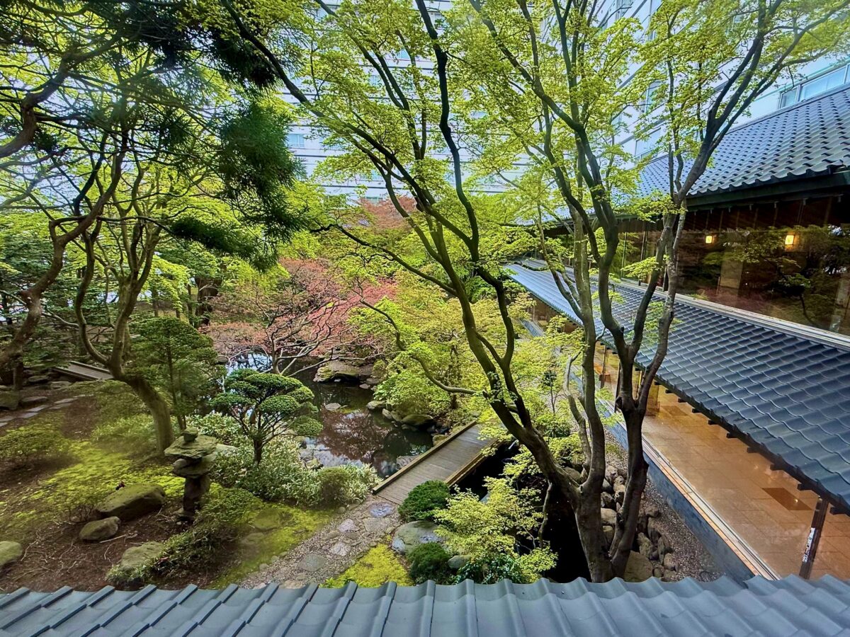 箱根・白雲洞茶苑の全貌｜益田鈍翁の茶室と見学の極意を徹底解剖