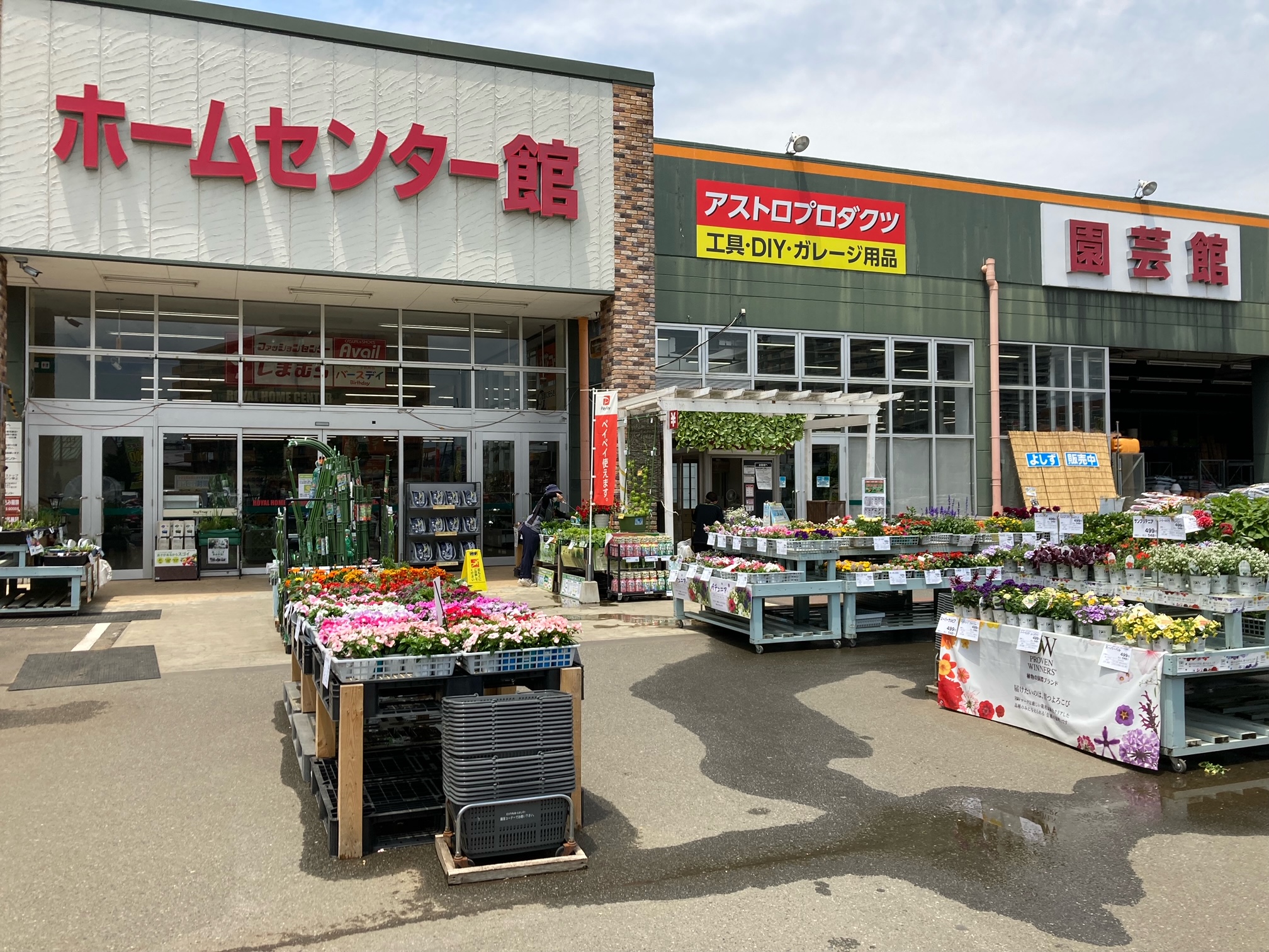 ロイヤルホームセンター相模原橋本の営業時間とチラシ最新攻略術