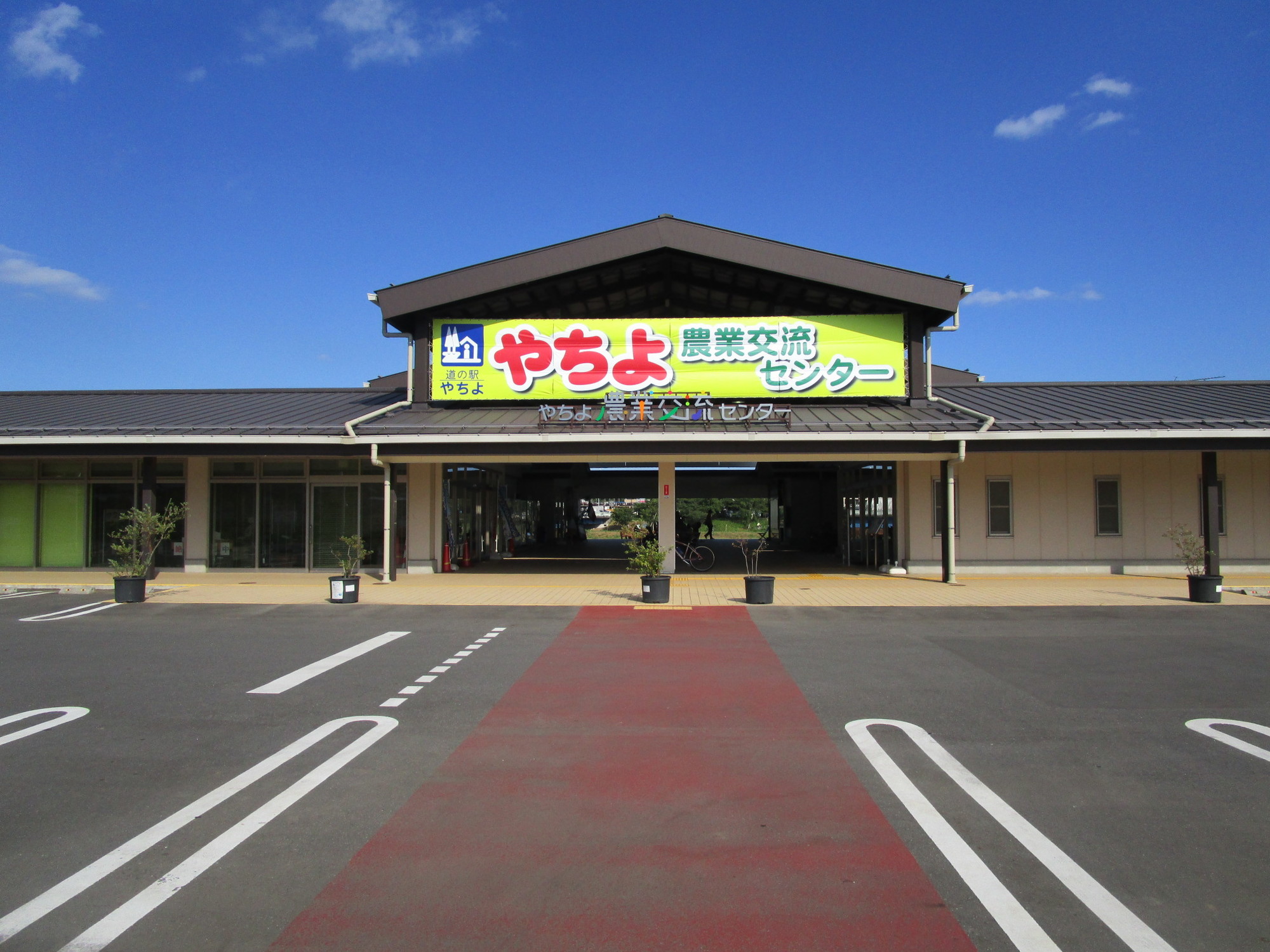 道の駅やちよ完全攻略ガイド2026｜絶品グルメ・直売所と混雑回避術