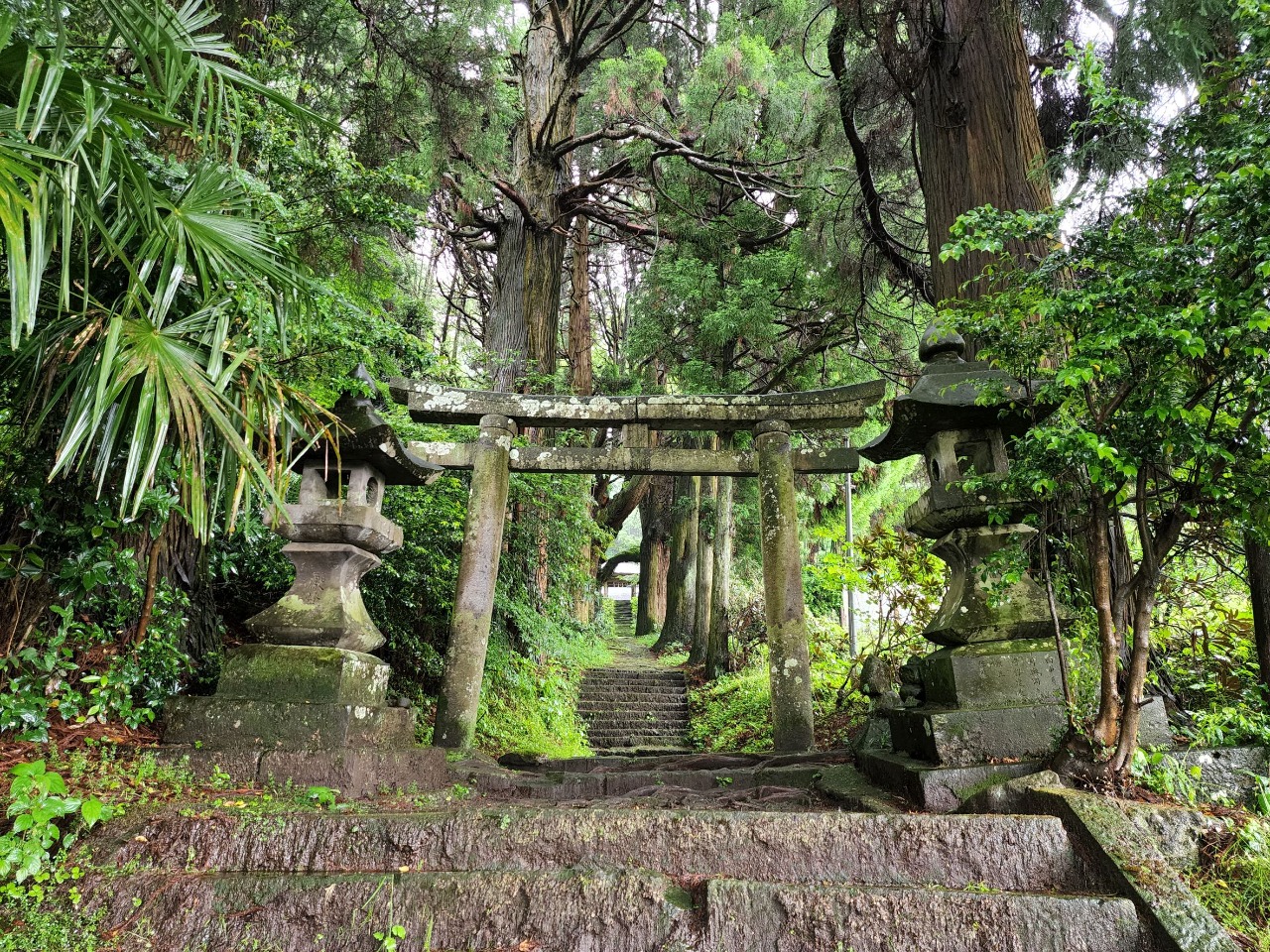 籾山八幡社の歴史と巨木が放つ神秘！御朱印や湧水・アクセス徹底解剖
