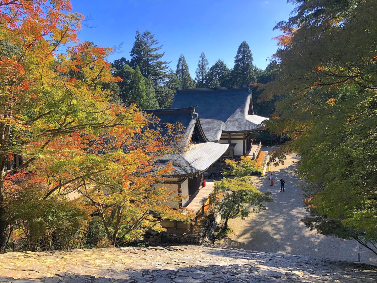 京都・高雄の神護寺が魅了する理由｜空海と国宝の真相から石段攻略まで
