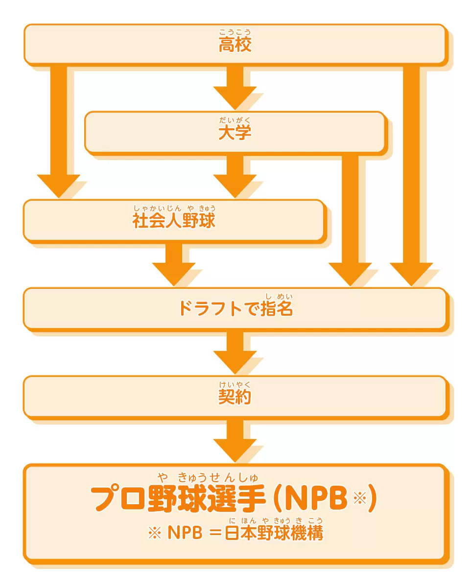 プロ野球選手になるには？スカウトが見る評価基準と指名確率の真相【完全版】