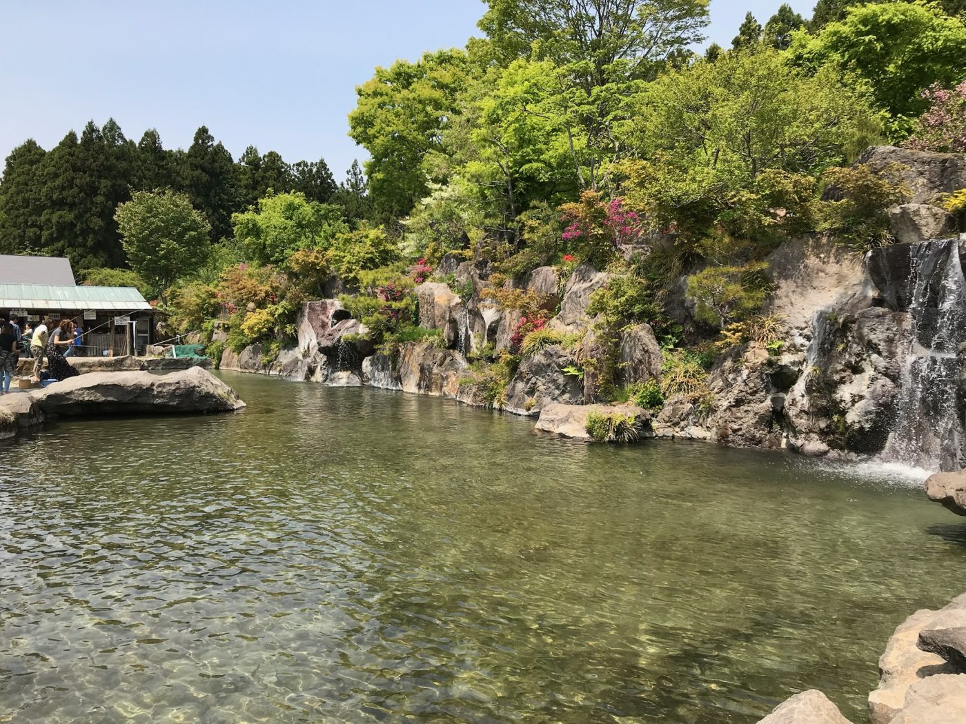 清流の里が絶賛される理由とは？名物蕎麦・釣り堀の評判と混雑回避術