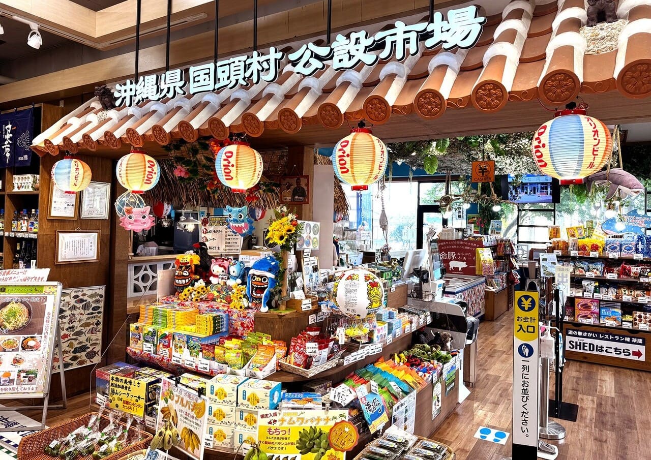 道の駅さかいに人が殺到する理由とは？隈研吾建築と沖縄の謎を徹底解明