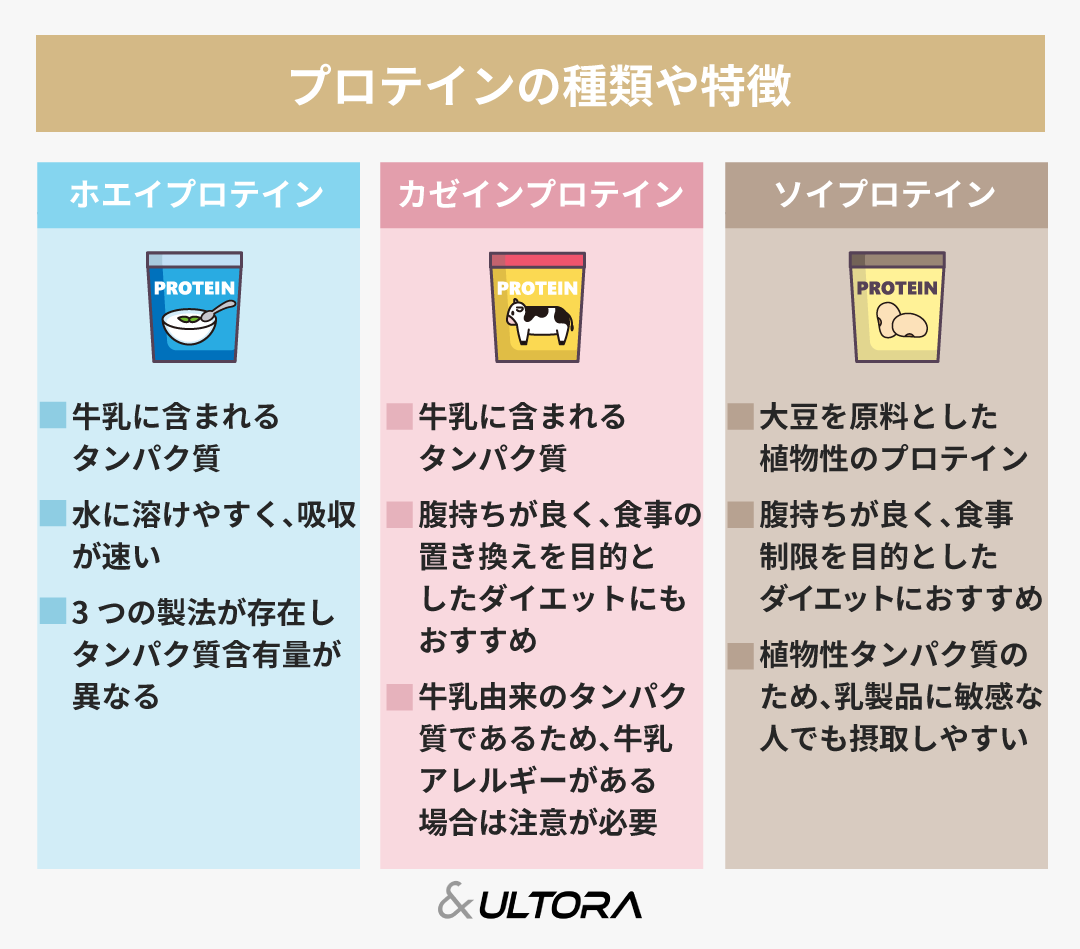 ホエイとソイの違いは？筋トレ・減量の正解と賢い選び方【2026最新】