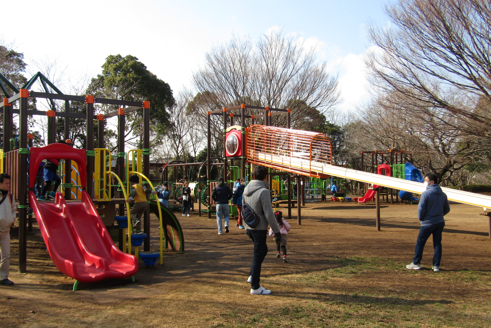 青葉の森公園が選ばれる理由と混雑回避法を徹底検証【2026】