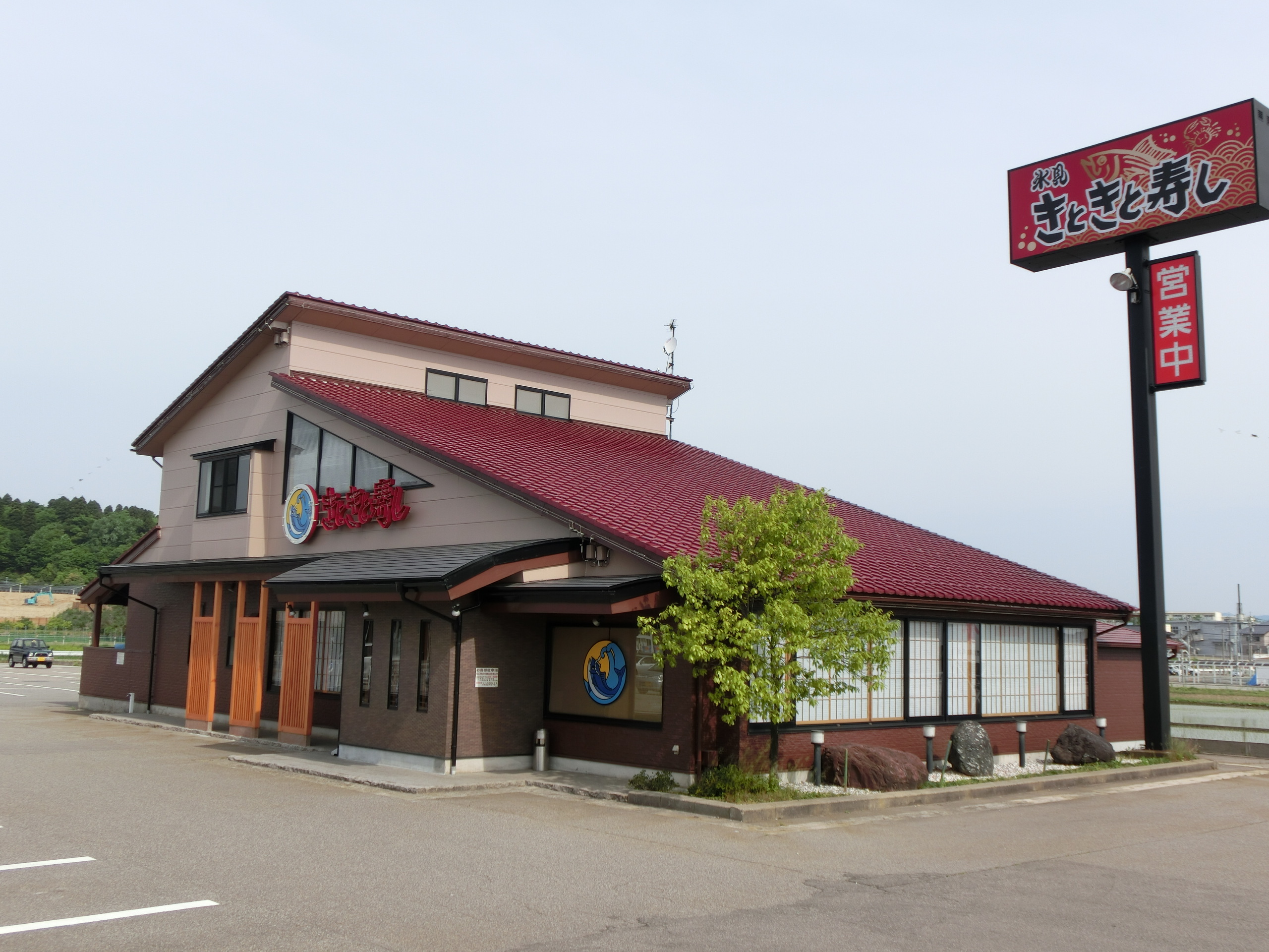 氷見きときと寿し氷見本店の行列理由と旬ネタ＆混雑回避術【最新】