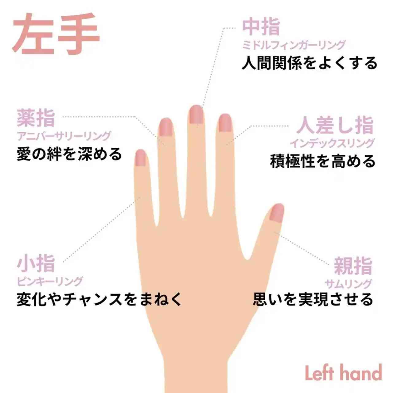 結婚指輪はなぜ左手薬指？10本の意味と右手につける国の真相【2026】