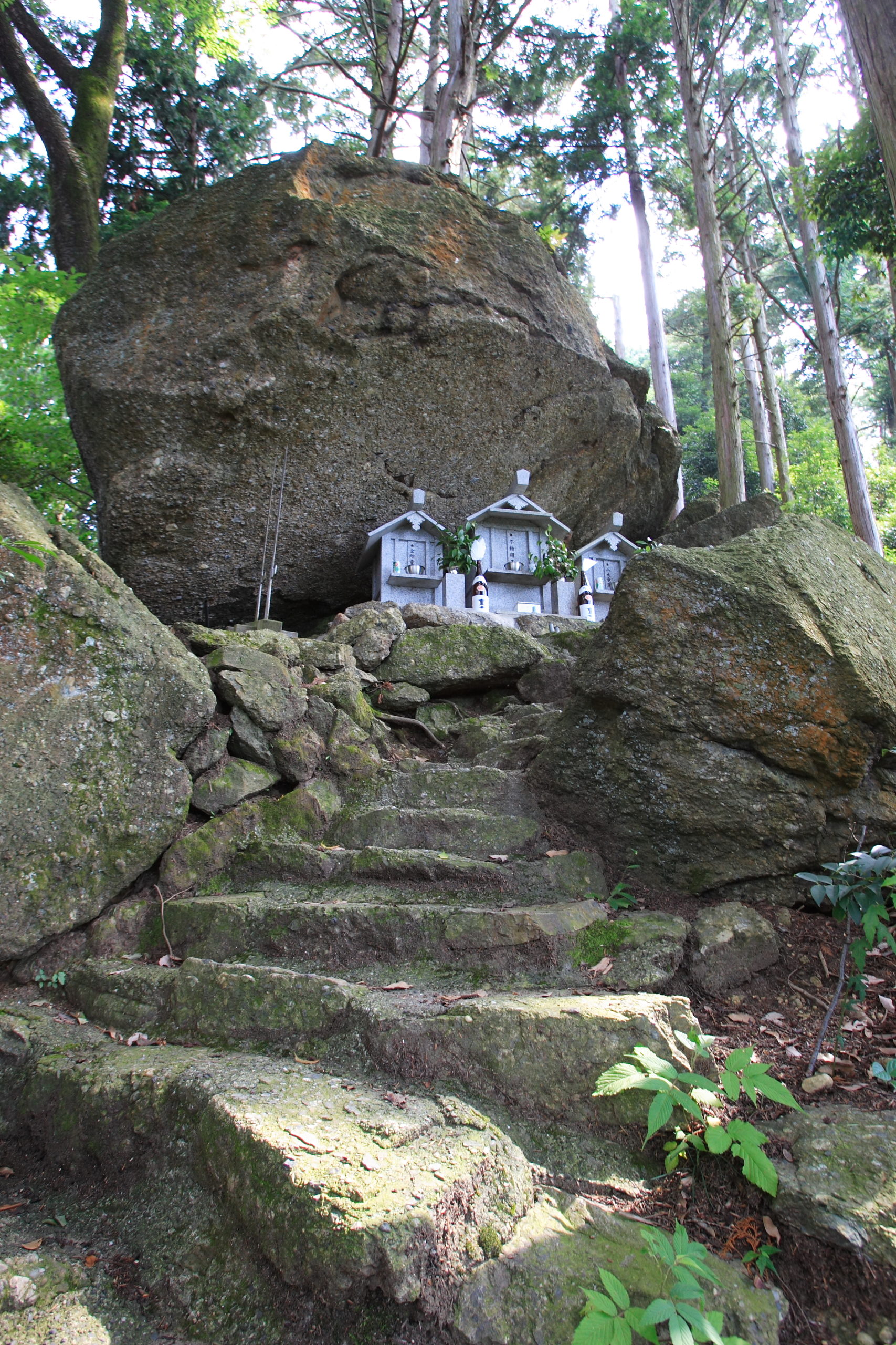 不動山の巨石群の正体とは？古代祭祀の磐座か自然の造形かを徹底解剖