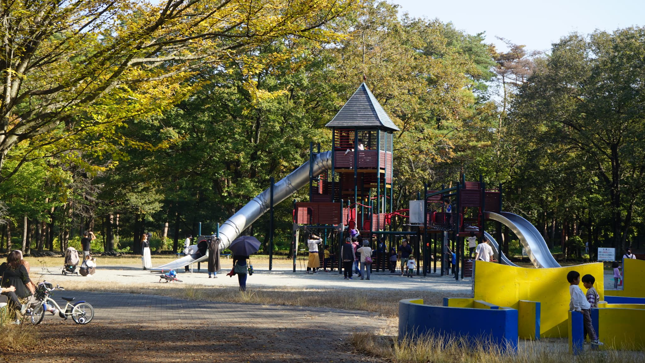 練馬区立谷原小学校の評判と学区｜中学受験や保護者の本音を徹底検証