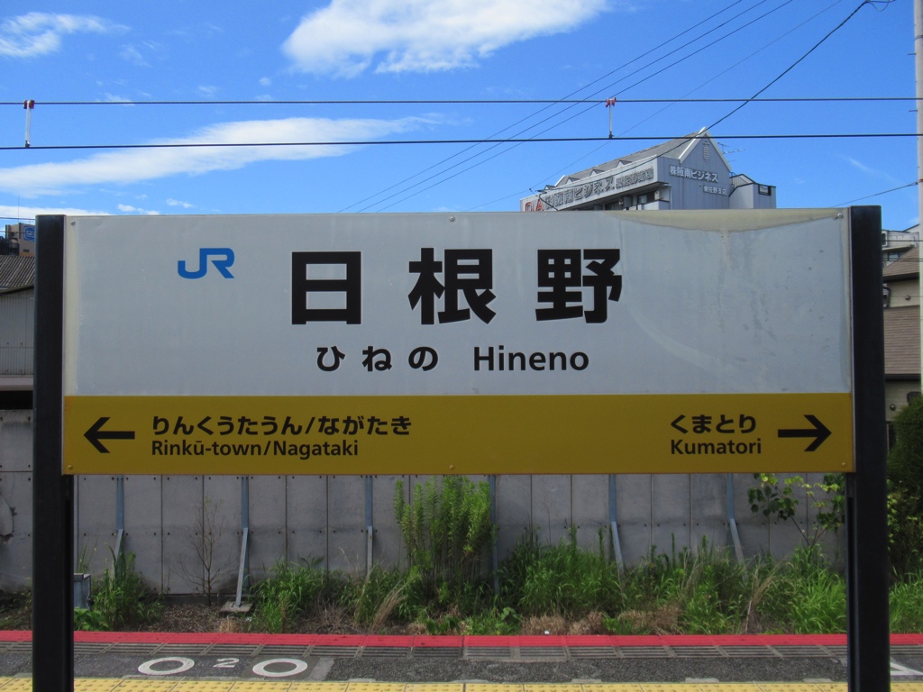 【2026年現地ルポ】関空の「運命の分岐点」日根野駅で何が起きているのか？ 乗り間違え多発地帯から変貌する知られざる巨大ハブの深層