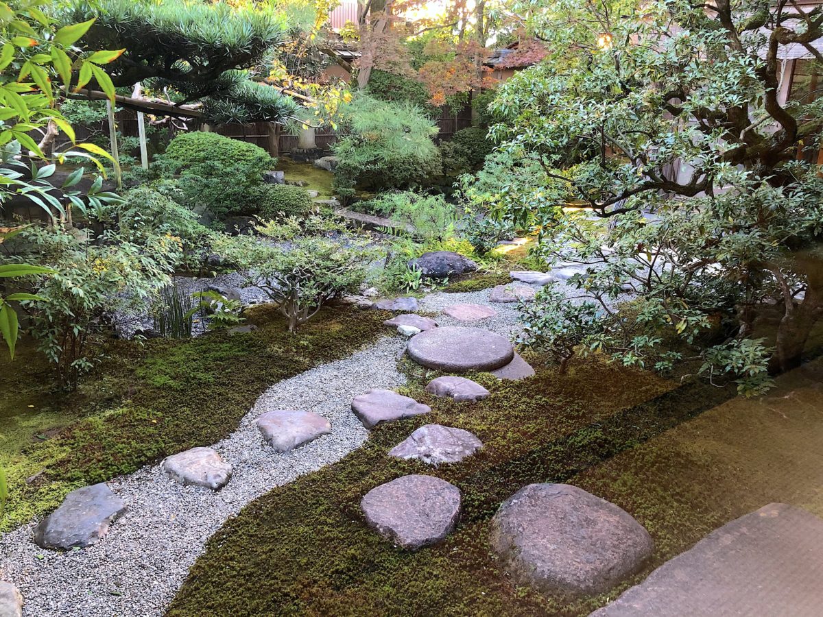 京都・茶寮宝泉のわらび餅が呼ぶ感動！予約や年齢制限の真相と混雑攻略