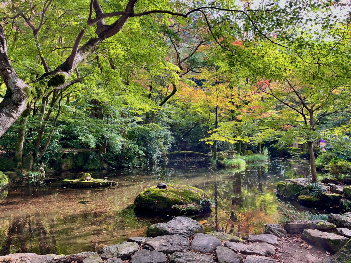 岐阜城山麓の織田信長居館跡！最新発掘と豪華絢爛な宮殿の真実