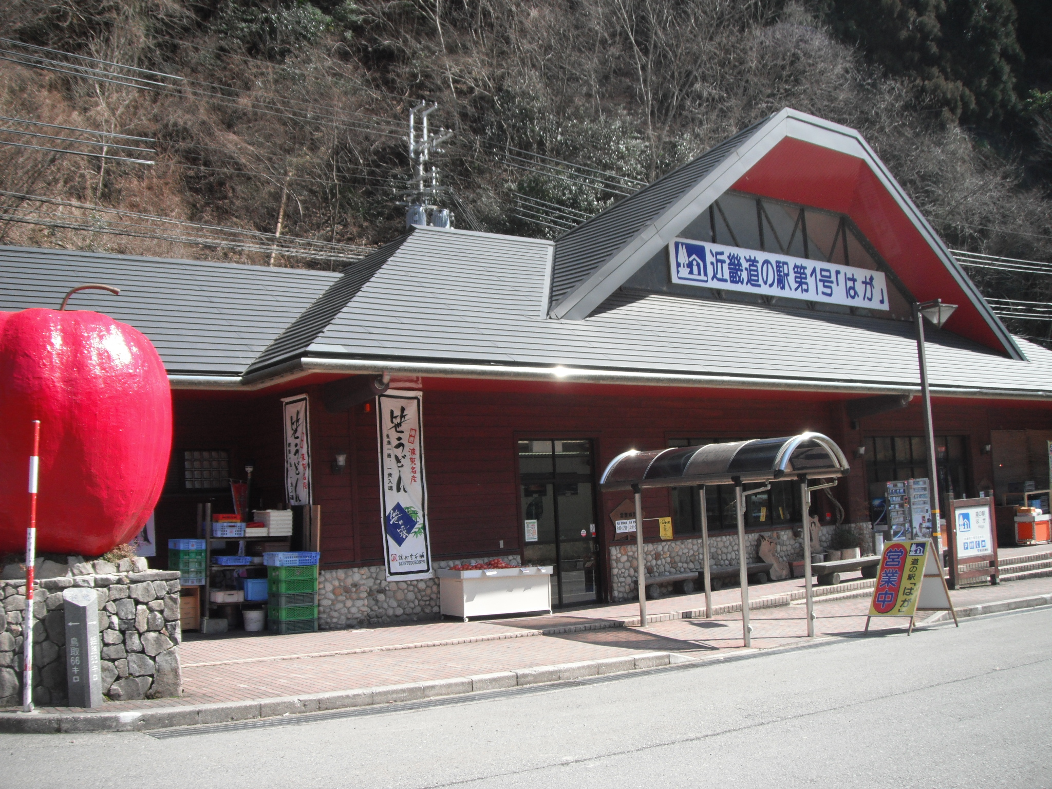 道の駅はがの魅力と評判を徹底解剖！温泉・グルメ・車中泊の真相