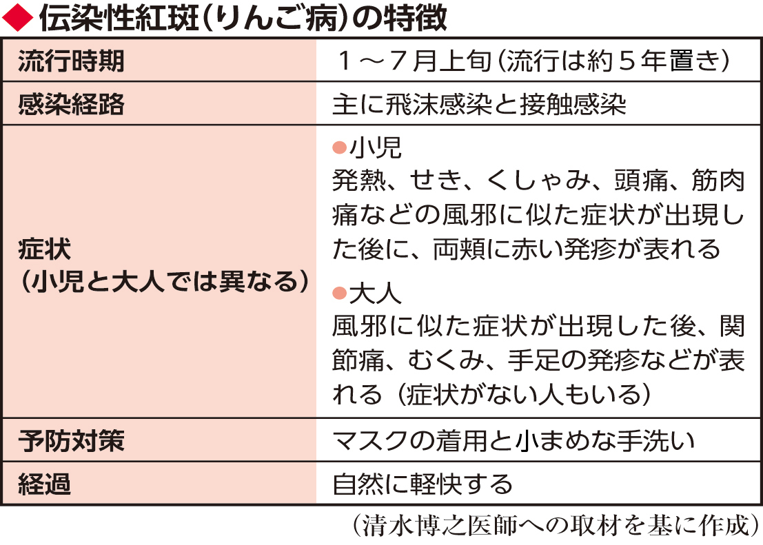 大人のりんご病は頬が赤くない？激痛やむくみと重症化リスクの真相