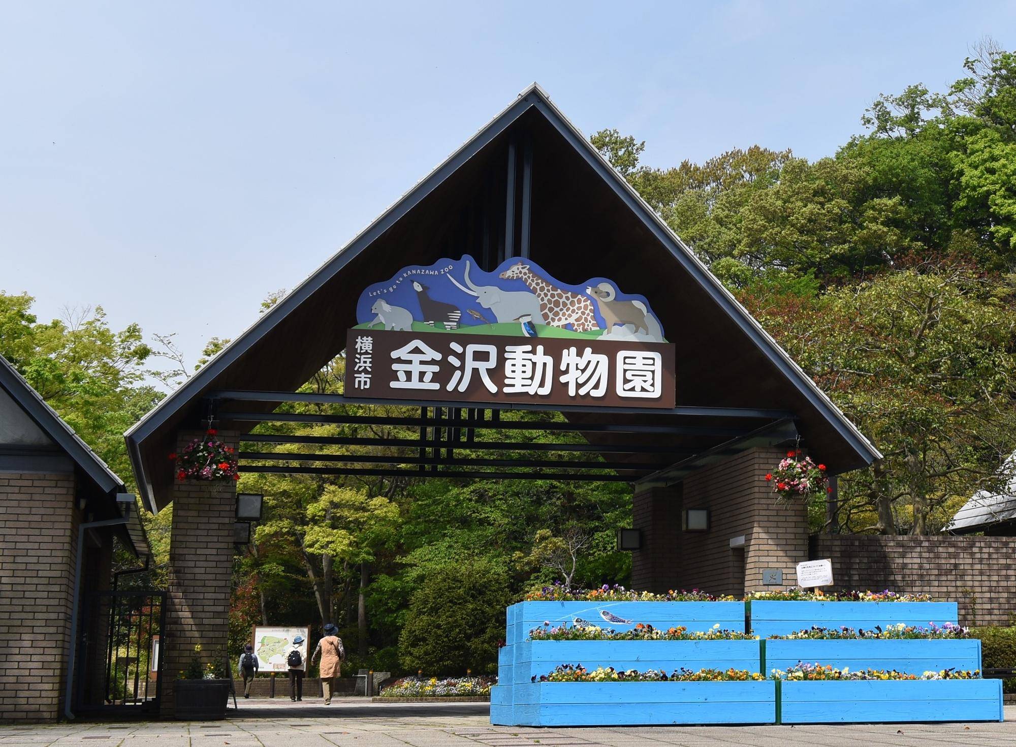 金沢自然公園が選ばれる理由とは？動物園・混雑回避と見どころを総力検証