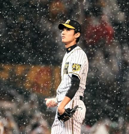 【真相】 藤浪 晋太郎 なん J 最新情報まとめ 2026 #973