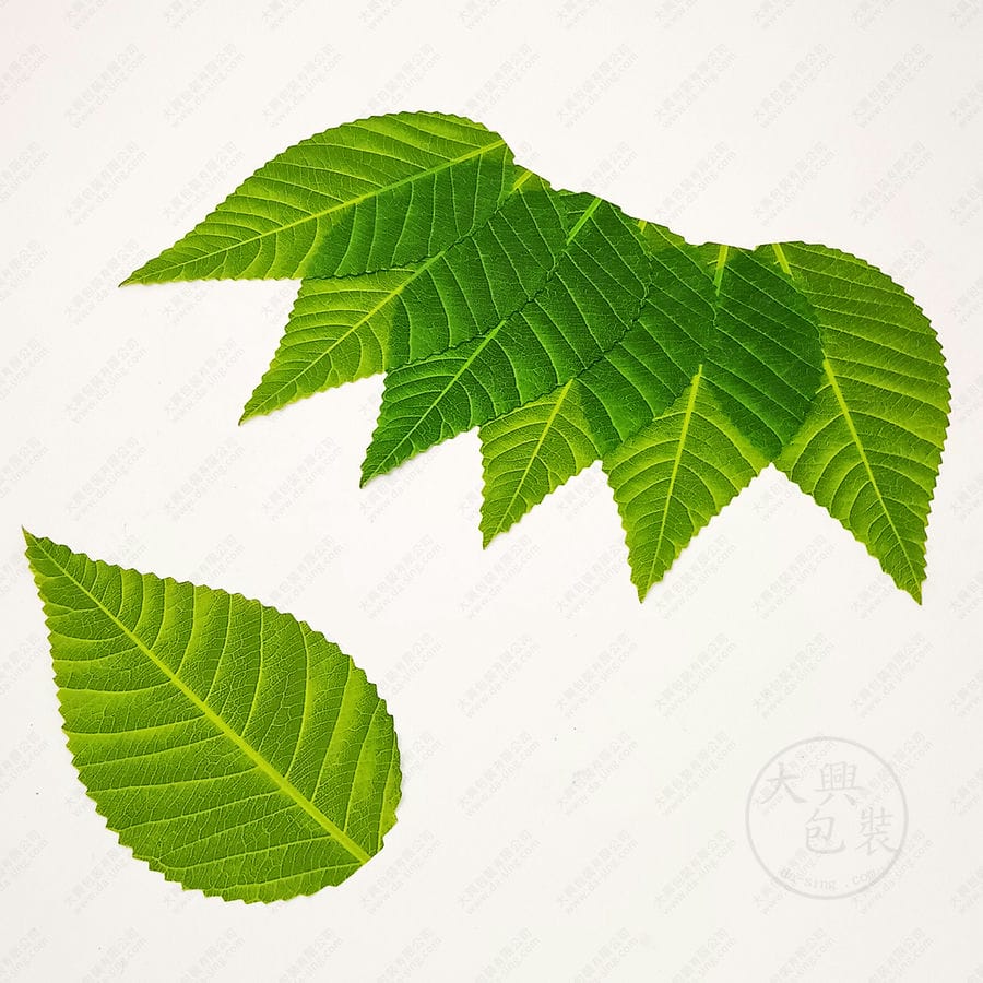 櫻葉の絆に涙する理由とは？櫻井翔と相葉雅紀が築く唯一無二の現在地