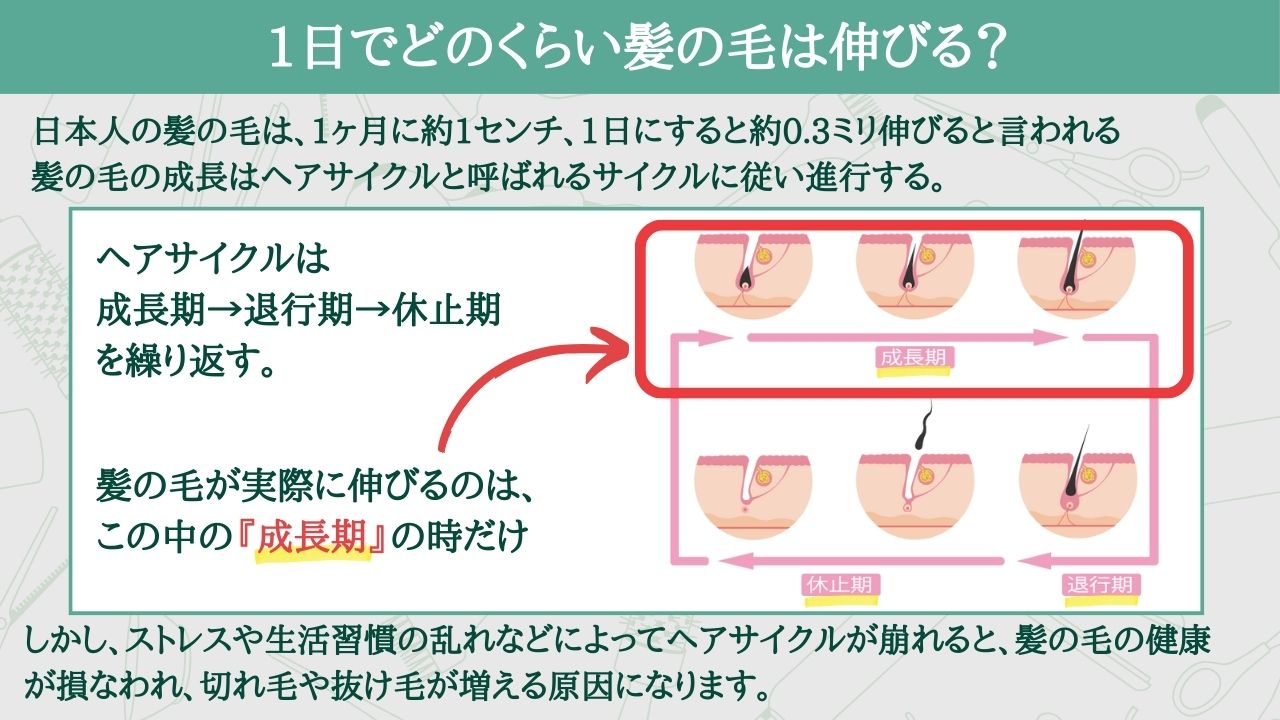 新宿ワシントンホテル宿泊の真実！本館新館の違いと後悔しない選び方