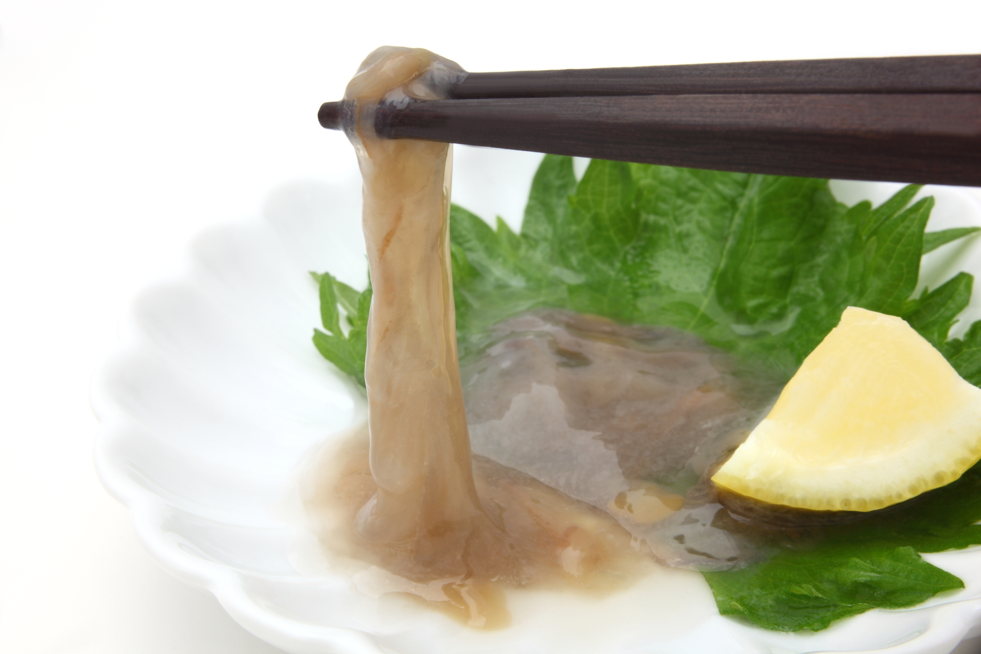 日本三大珍味「このわた」とは？正体や味・旬と絶品レシピ徹底解説
